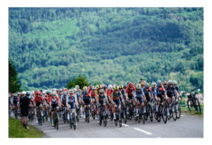 Image de l'article Équipements du Tour de France Femmes 2024 : qui a gagné avec quoi ?