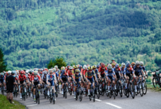 Image de l'article Équipements du Tour de France Femmes 2024 : qui a gagné avec quoi ?